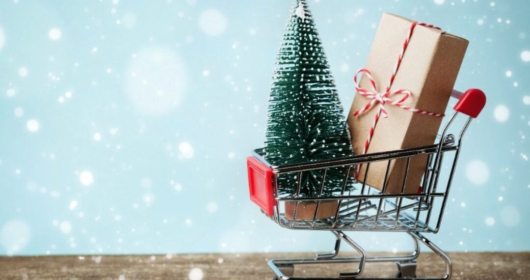 Holiday Shopping Season 2024