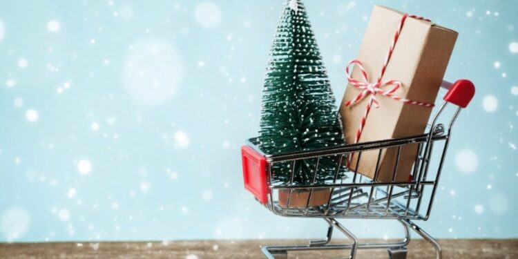 Holiday Shopping Season 2024