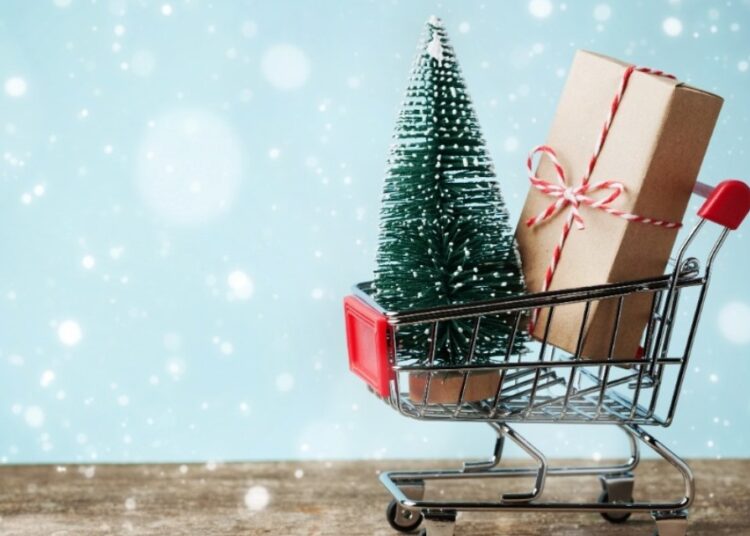 Holiday Shopping Season 2024