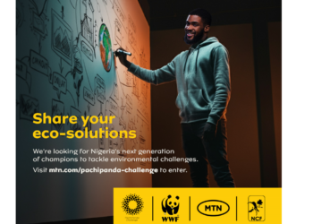 MTN Nigeria PachiPanda Challenge