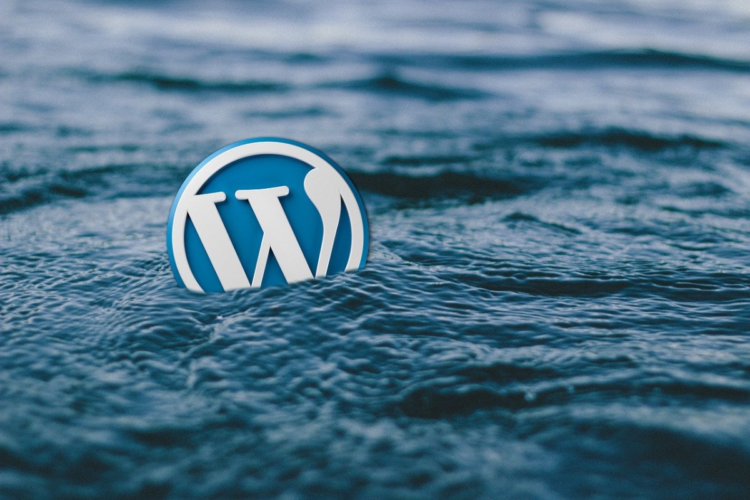 NITDA Warns of Vulnerability in LiteSpeed Cache Plugin Threatening Over 5M WordPress Sites