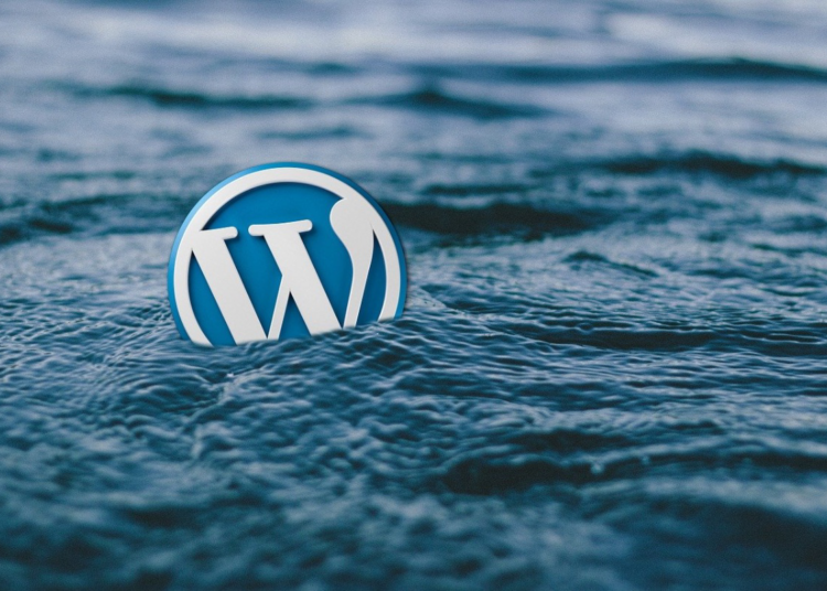 NITDA Warns of Vulnerability in LiteSpeed Cache Plugin Threatening Over 5M WordPress Sites