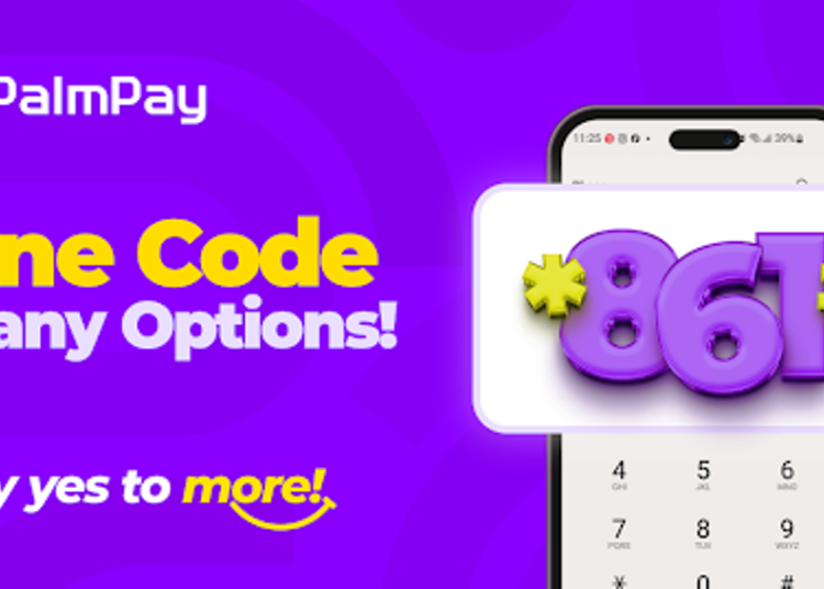 PalmPay USSD service