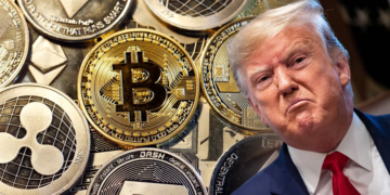 trump crypto project -