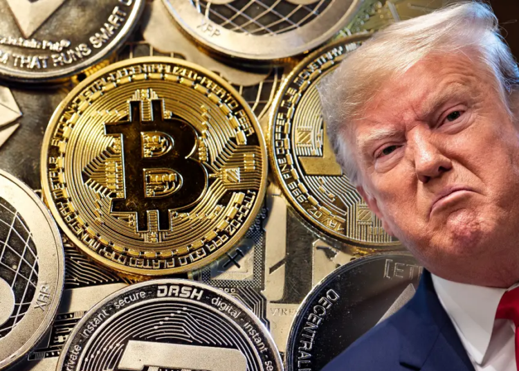 trump crypto project -