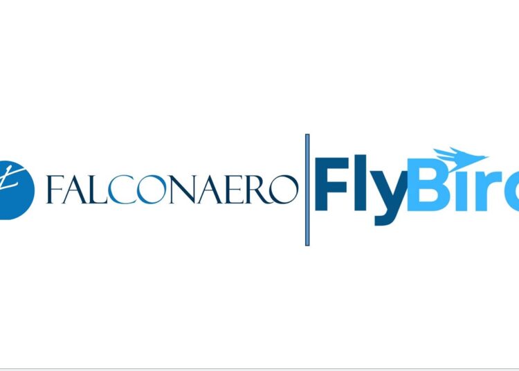 Falconnero and Flybird launch OrientJets