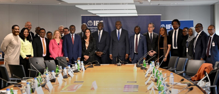 IFC, CBN Partner to Boost Local Currency Financing