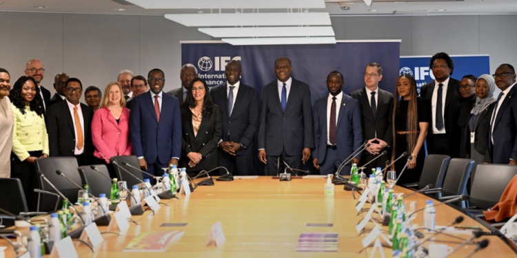 IFC, CBN Partner to Boost Local Currency Financing