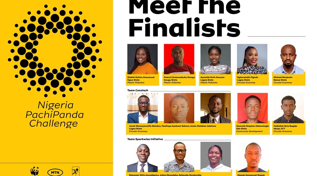 MTN PachiPanda Challenge