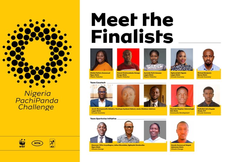 MTN PachiPanda Challenge