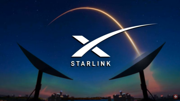 Starlink Grey Market