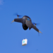 Airbound Secures $1.7M to Make Drone Delivery Economically Viable Everywhere