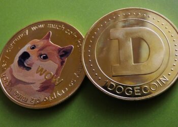 Dogecoin search breaks the internet