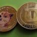 Dogecoin search breaks the internet
