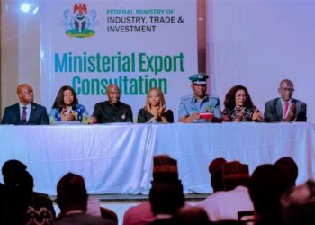 Dr. Jumoke Oduwole, Trade Minister and export