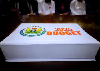 Enugu State 2025 Budget