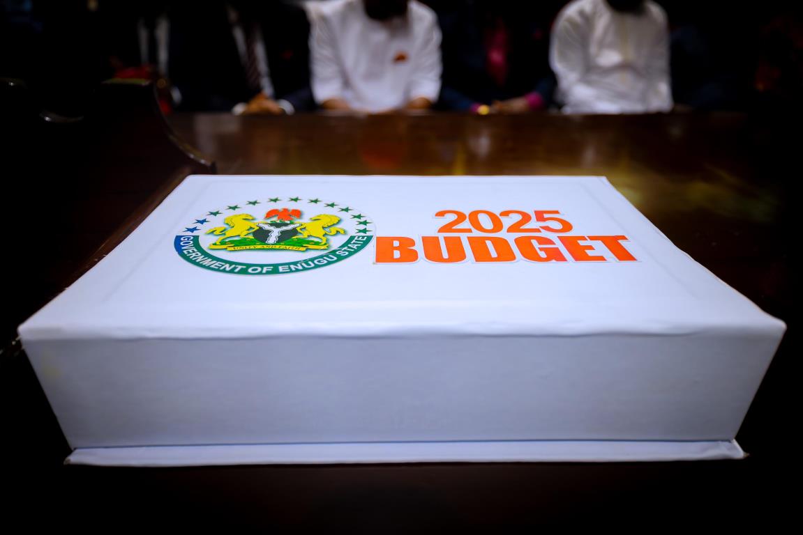 Enugu State 2025 Budget