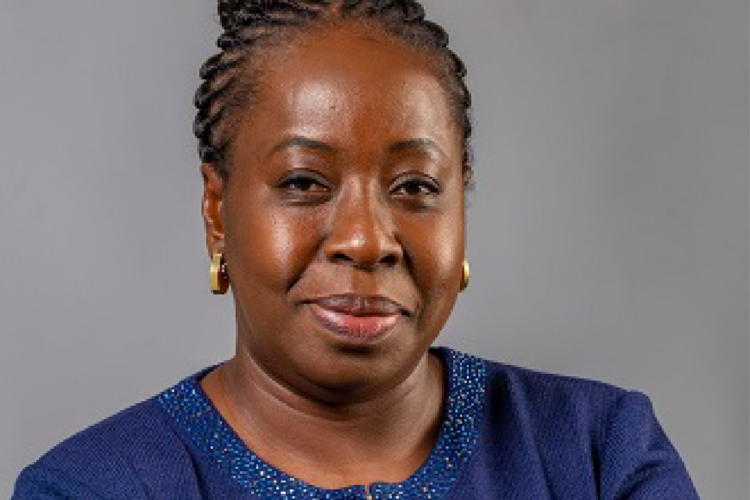 Funke Opeke Steps Down as MainOne MD, Wole Abu Appointed Successor