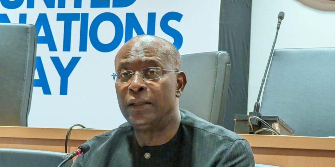 Mohamed Malick Fall - UN in Nigeria