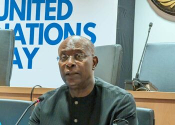 Mohamed Malick Fall - UN in Nigeria