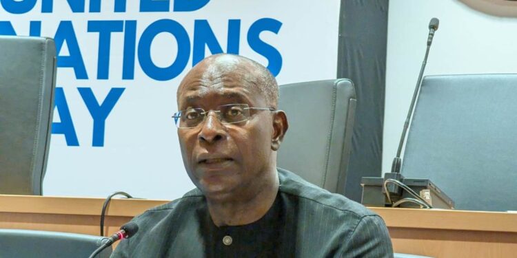 Mohamed Malick Fall - UN in Nigeria