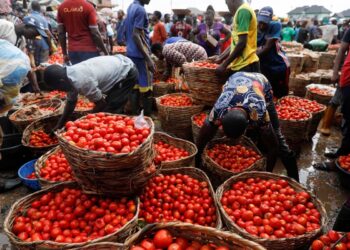 Nigeria’s Inflation Hits 33.88% in October as Food and Transport Costs Soar