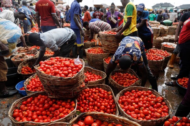 Nigeria’s Inflation Hits 33.88% in October as Food and Transport Costs Soar