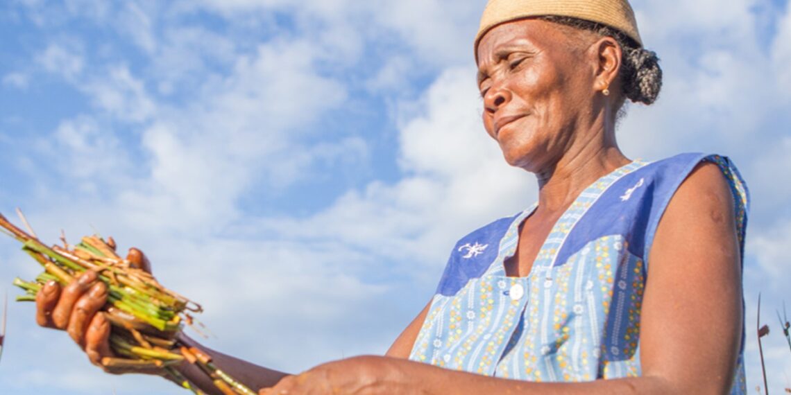 Towards a Climate Resilience African Agenda 2063