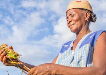 Towards a Climate Resilience African Agenda 2063