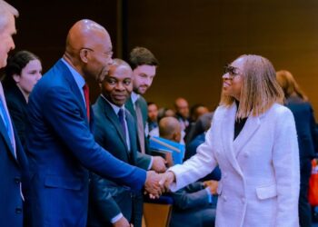 Leo Stan Ekeh at France-Nigeria Summit