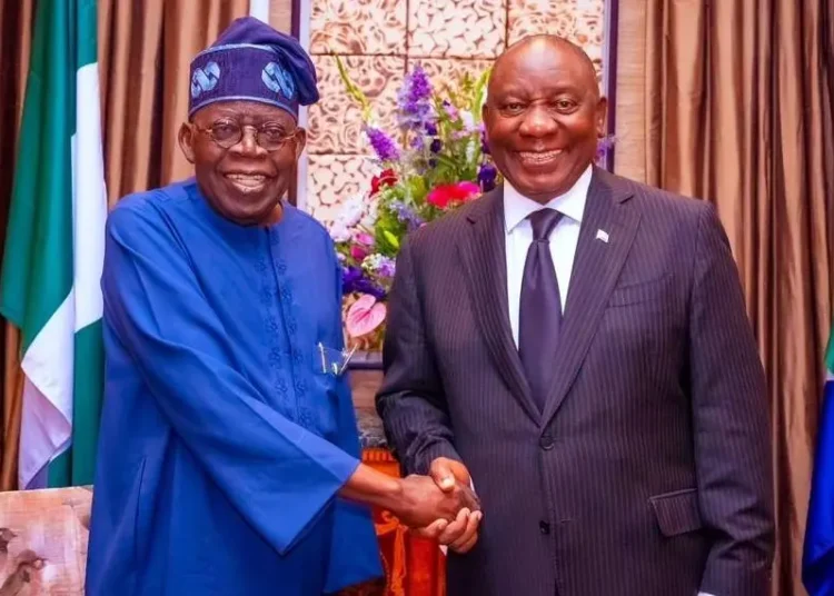 Nigeria, South Africa Activates Advisory Council