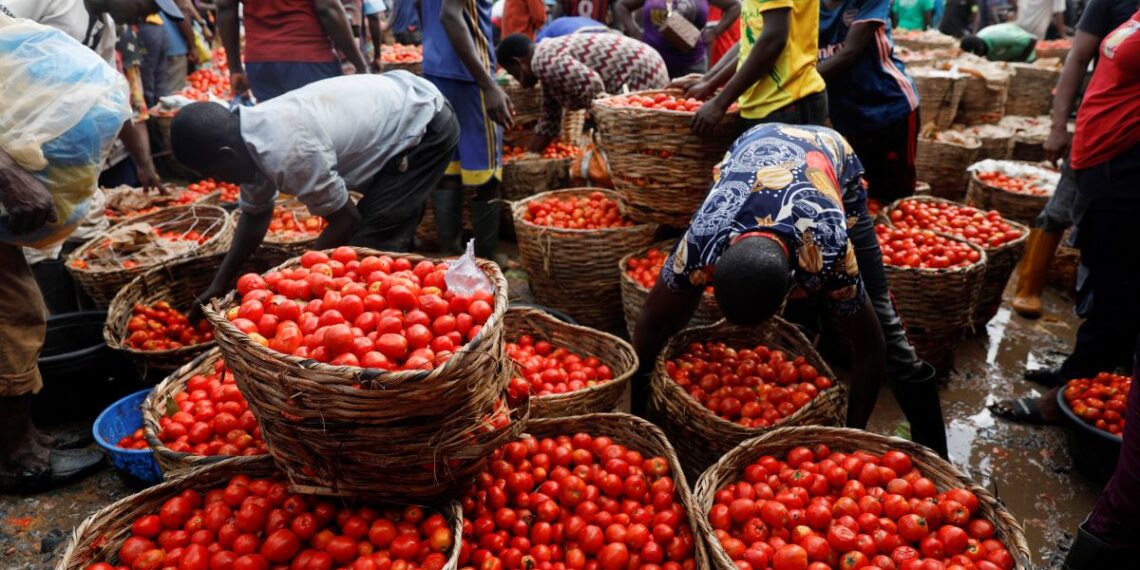 Nigeria’s Inflation Hits 34.6% in November, Worsens Cost of Living