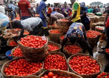 Nigeria’s Inflation Hits 34.6% in November, Worsens Cost of Living