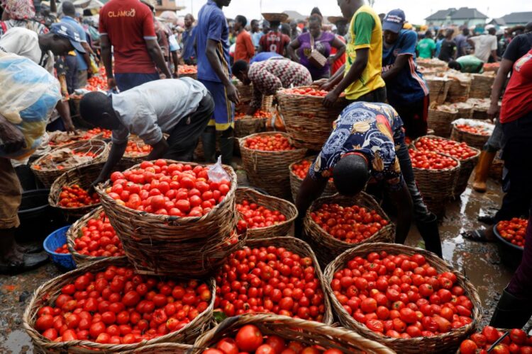 Nigeria’s Inflation Hits 34.6% in November, Worsens Cost of Living