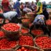 Nigeria’s Inflation Hits 34.6% in November, Worsens Cost of Living