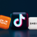 Temu is the Most Downloaded U.S. App in 2024, TikTok Slips to Third