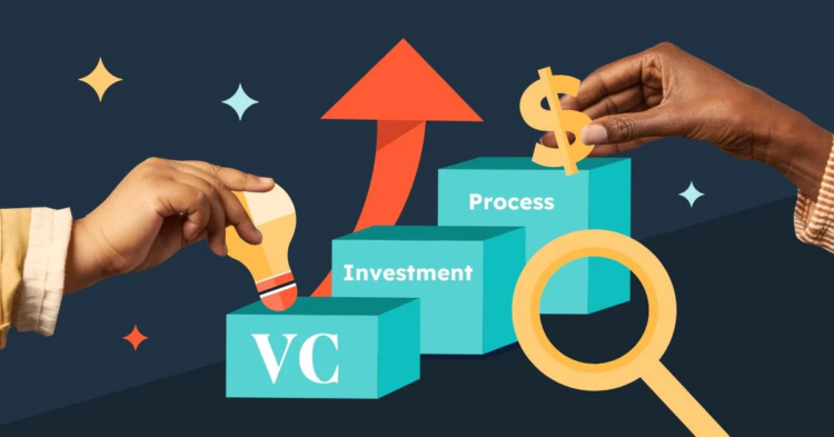 VC firms investment in 2024