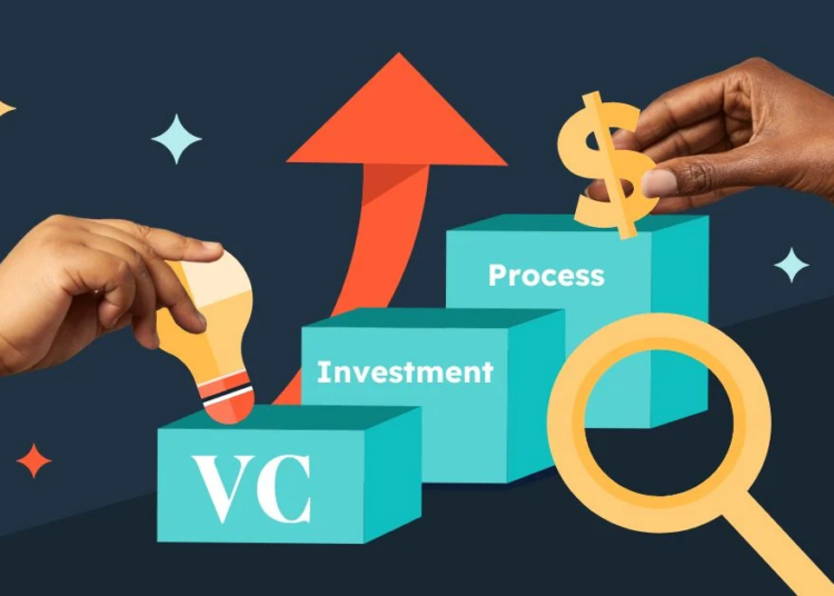 VC firms investment in 2024