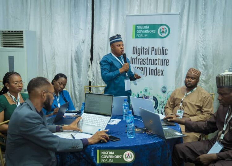 Anambra at DPI Workshop