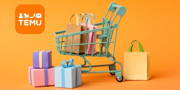 Beginners Guide to Shopping on Temu