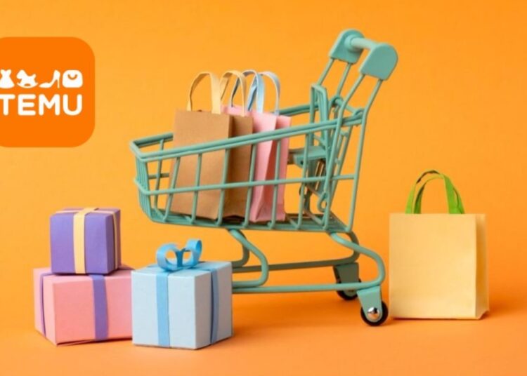 Beginners Guide to Shopping on Temu