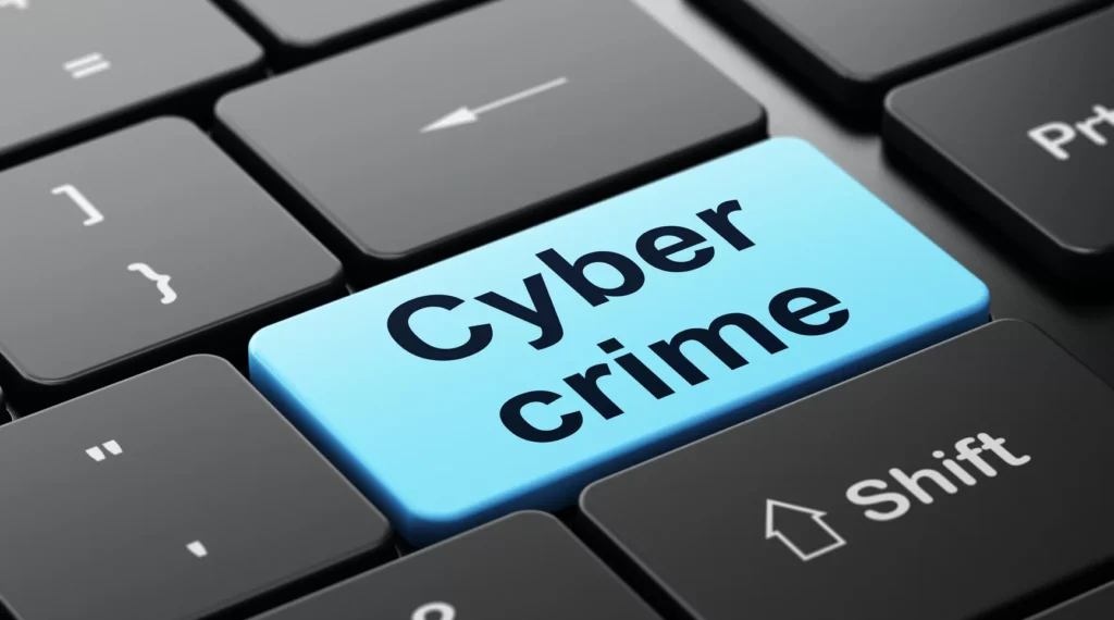 Cybercrime Act 2015