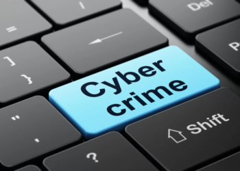 Cybercrime Act 2015