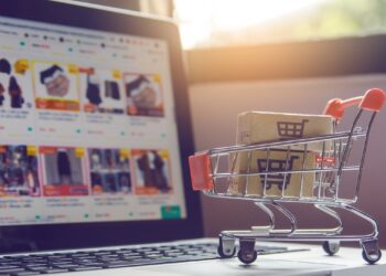 Holiday online shoppers report 2024