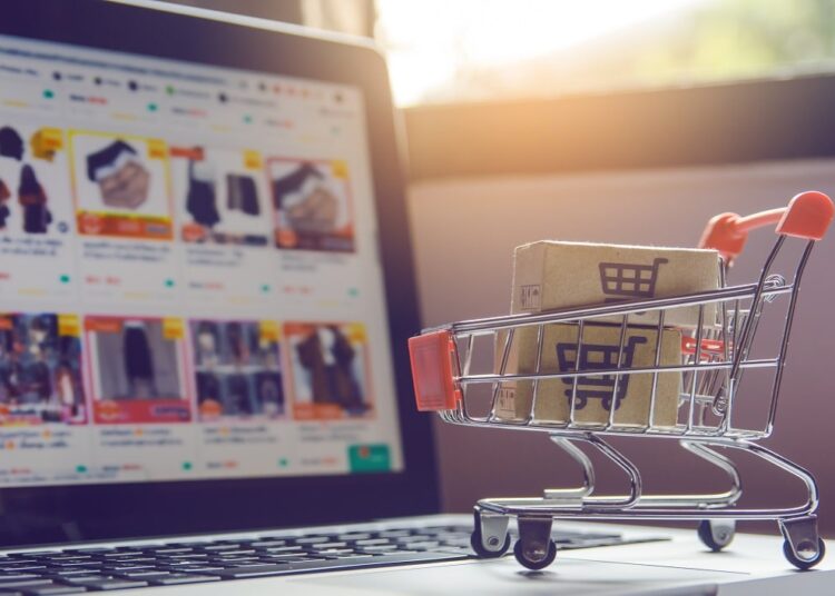 Holiday online shoppers report 2024
