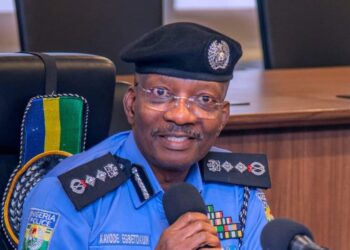 IGP Kayode Adeolu Egbetokun | 3Rd Party Insurance