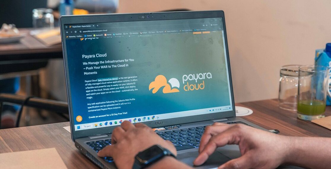 Payara Services Cloud
