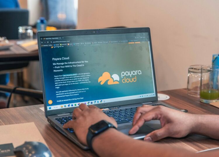 Payara Services Cloud | cloud infrastructure spending