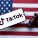 Perplexity AI Proposes Merger Deal with TikTok, Offering U.S. Government Stake