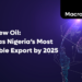 The New Oil: Data as Nigeria’s Most Valuable Export by 2025